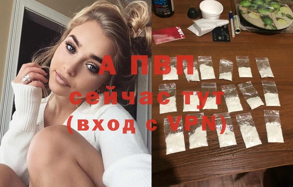 ПСИЛОЦИБИНОВЫЕ ГРИБЫ Горнозаводск