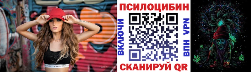 Купить Лянтор Галлюциногенные грибы Psilocybine cubensis